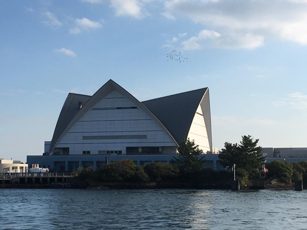 Ilca Guest House Kagoshima Ngoại thất bức ảnh